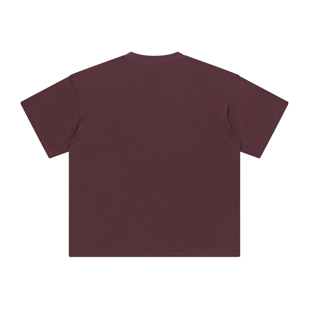 AVELURE EVERYDAY BOXY TEE