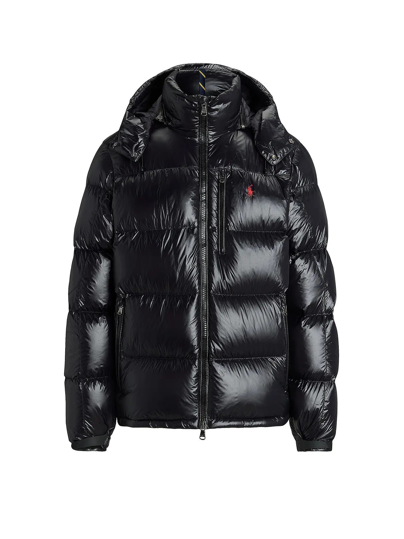 "RL" Shiny Puffer